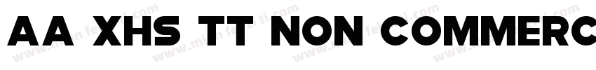 Aa XHS TT Non Commercial Use字体转换